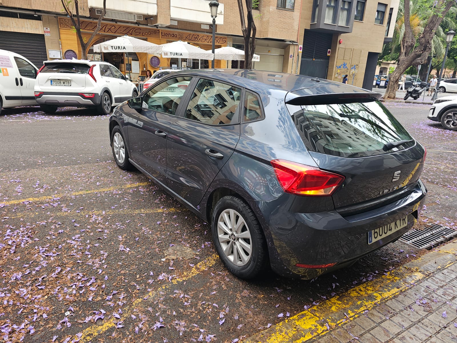 Miniatura 5 de SEAT IBIZA