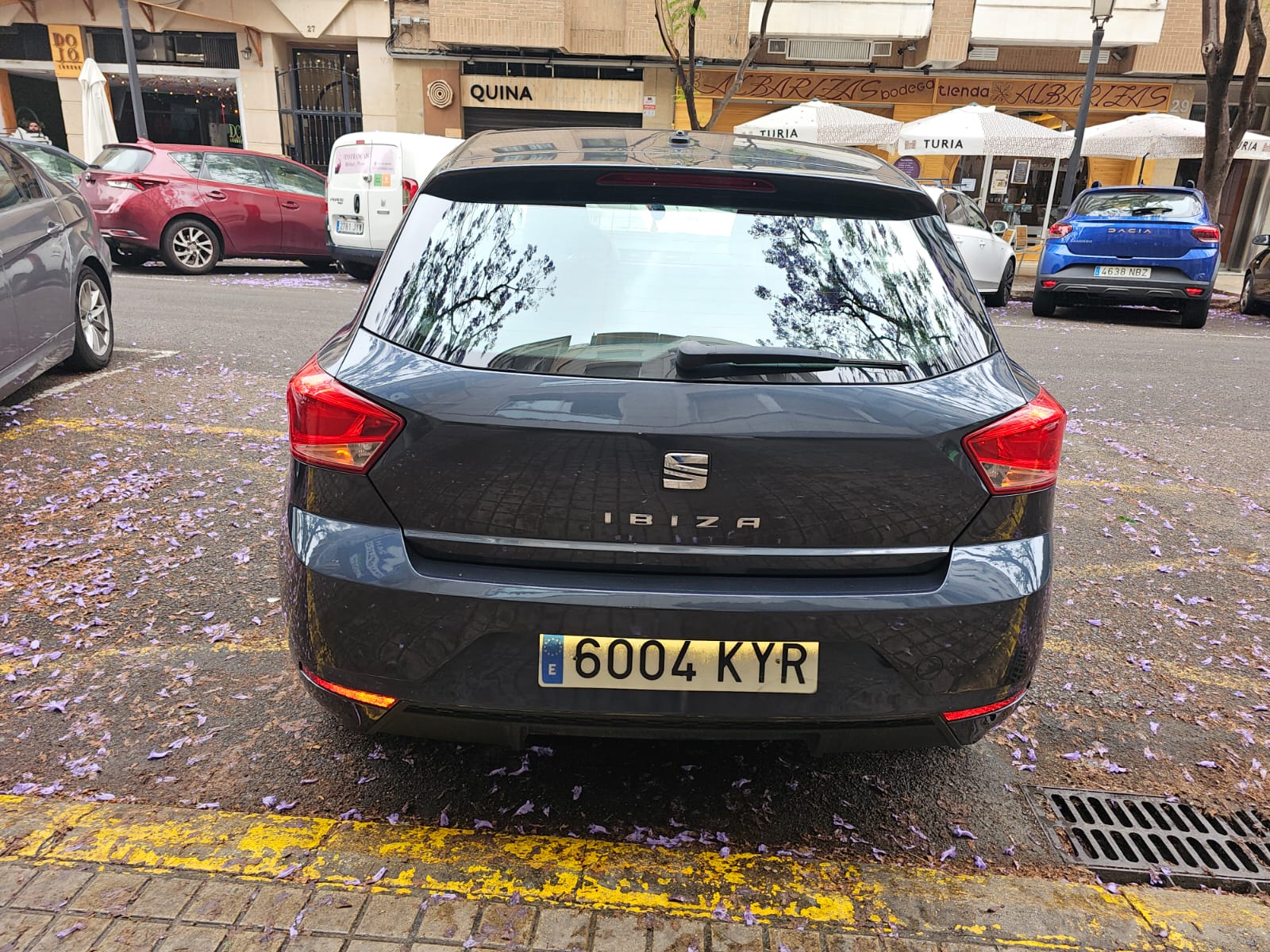 Miniatura 6 de SEAT IBIZA
