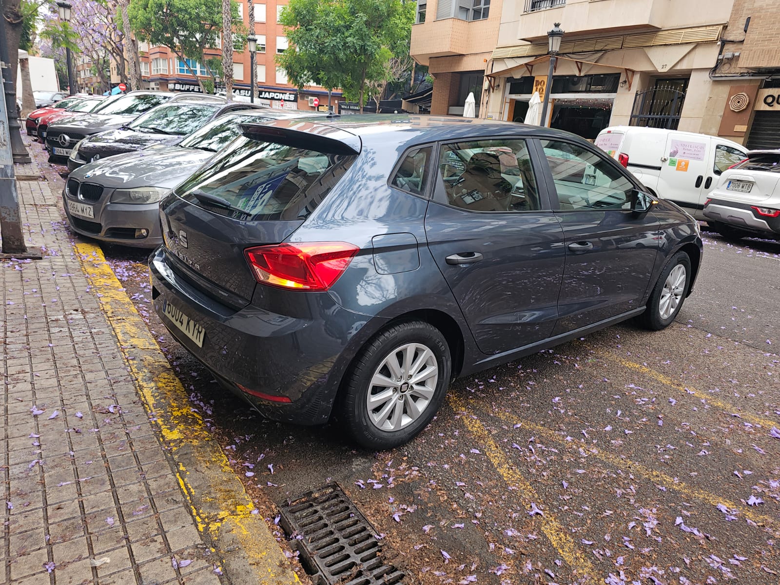 Miniatura 10 de SEAT IBIZA