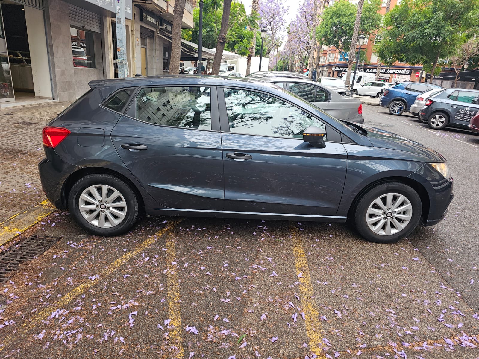 Miniatura 11 de SEAT IBIZA